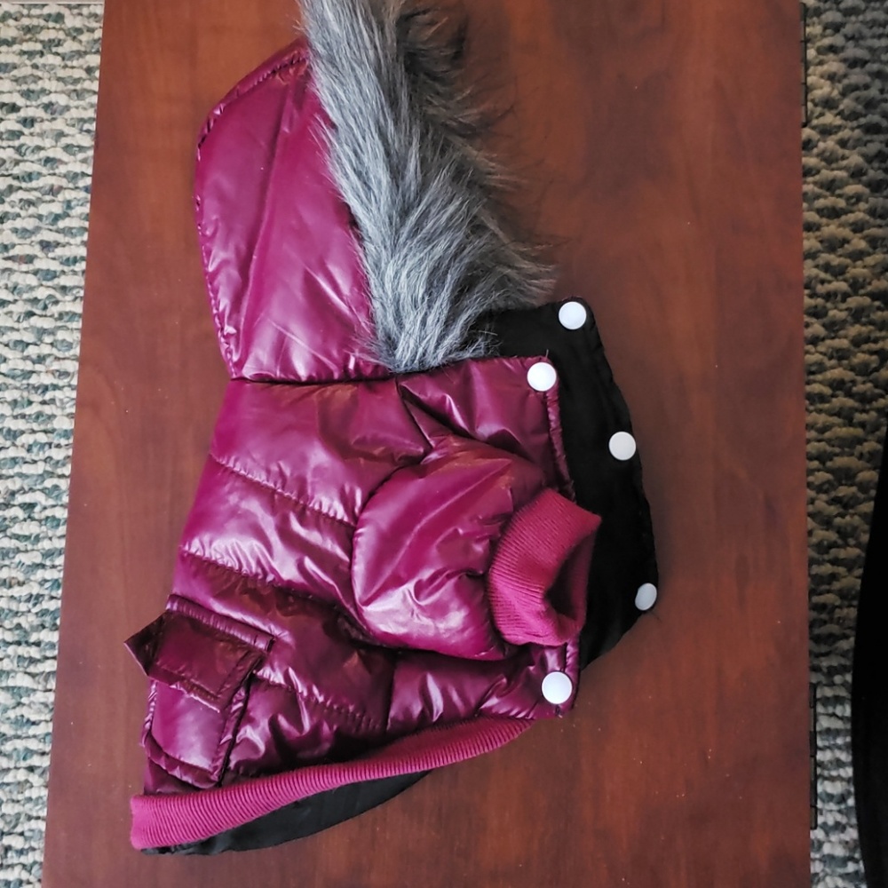 Small dog winter coat